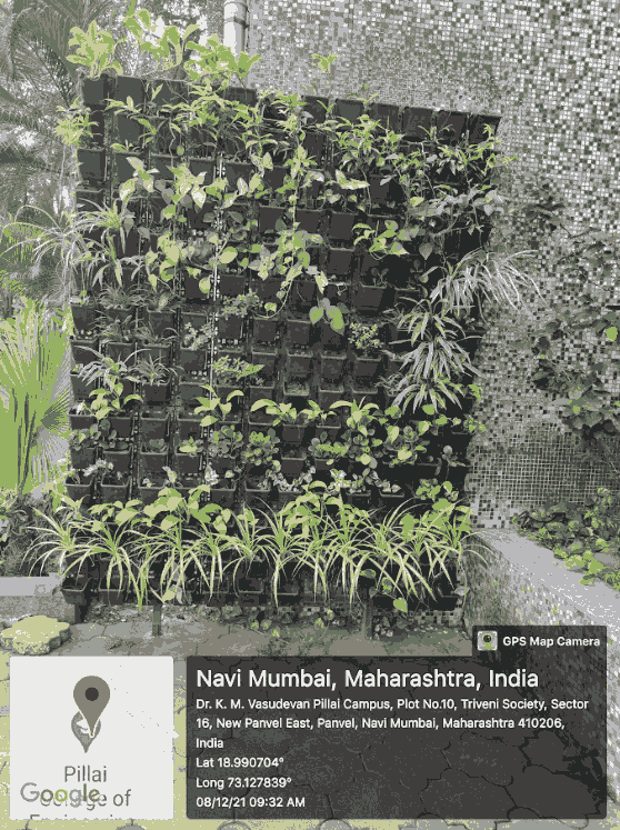 PCACS Campus & Infrastructure photo 30